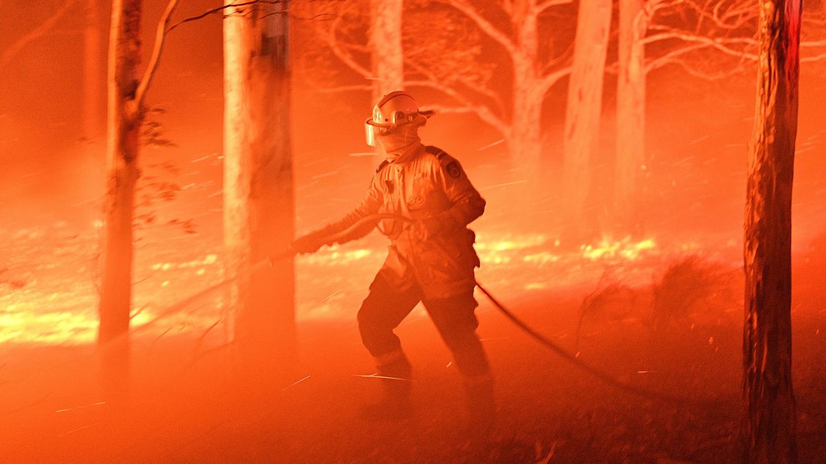 Ničivý oheň v Austrálii: Na 500 milionů mrtvých zvířat a 23 lidských životů